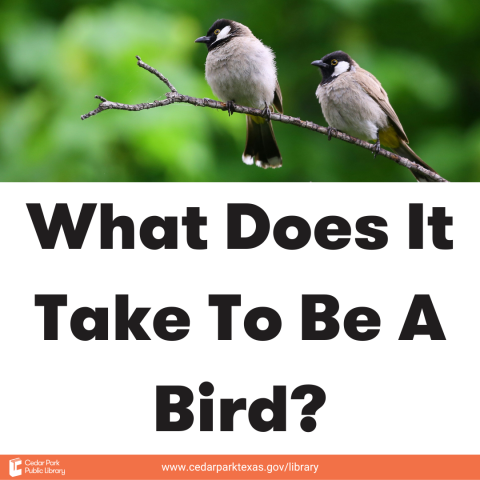 Two small birds on a branch with text: What does it take to be a bird?