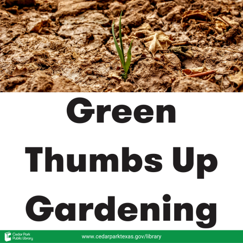 Green plant growing through ground with text: Green Thumbs Up Gardening