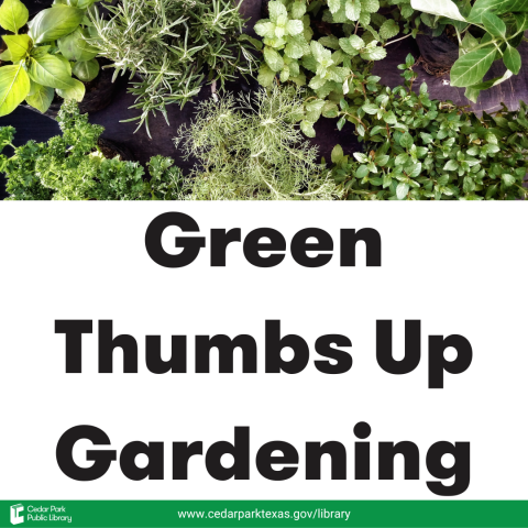 Bright green herbs with text: Green Thumbs Up Gardening