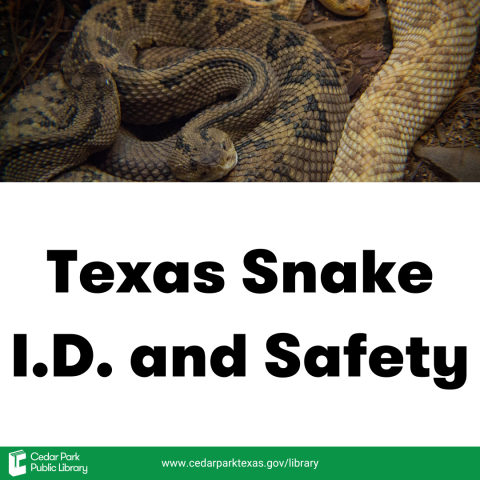 A group of snakes with text: Texas Snake I.D. and Safety