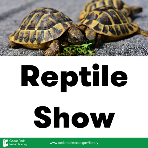 2 Box Turtles eating greens with text: Reptile Show. 