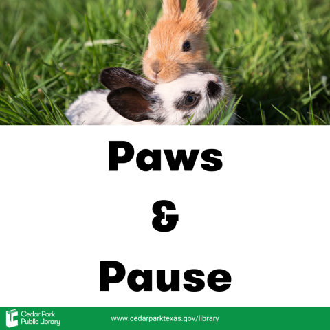 Two small rabbits in the grass with text: Paws & Pause