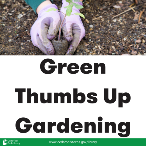 Gloved hands folding a sapling with text: Green Thumbs Up Gardening