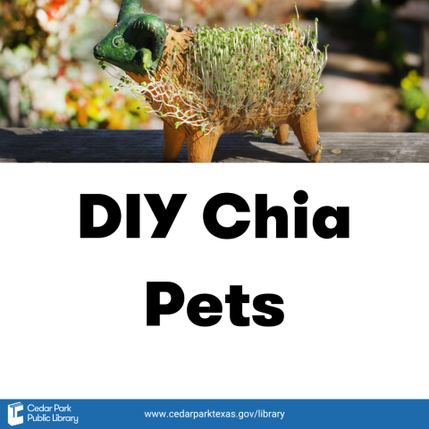 Colorful picture of a chia pet ram with text: DIY Chia Pets