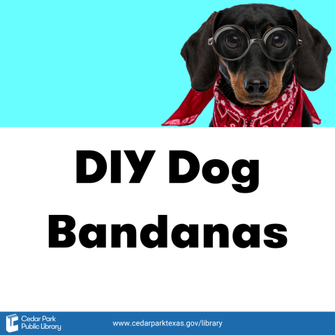 Dog wearing a red bandana. Text reads DIY Dog Bandanas.