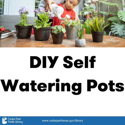 DIY Self Watering Pots