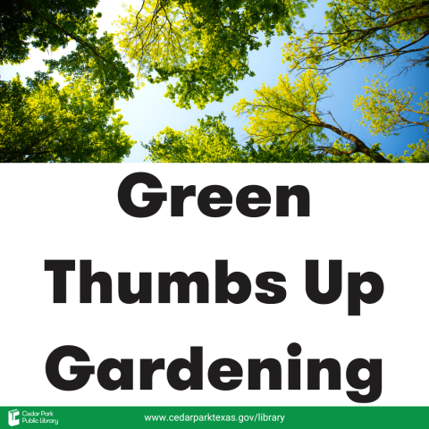 Photo of green tree canopy. Text reads: Green Thumbs Up Gardening