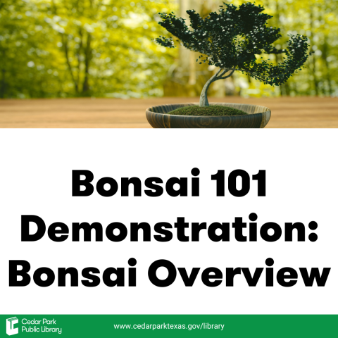 Bonsai 101 Demonstration