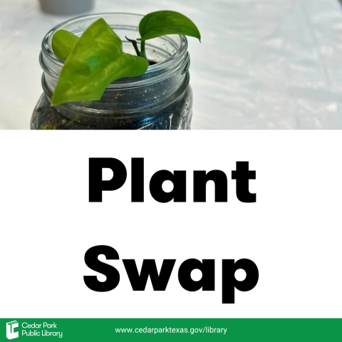 plant in jar with dirt. Text reads: Plant Swap