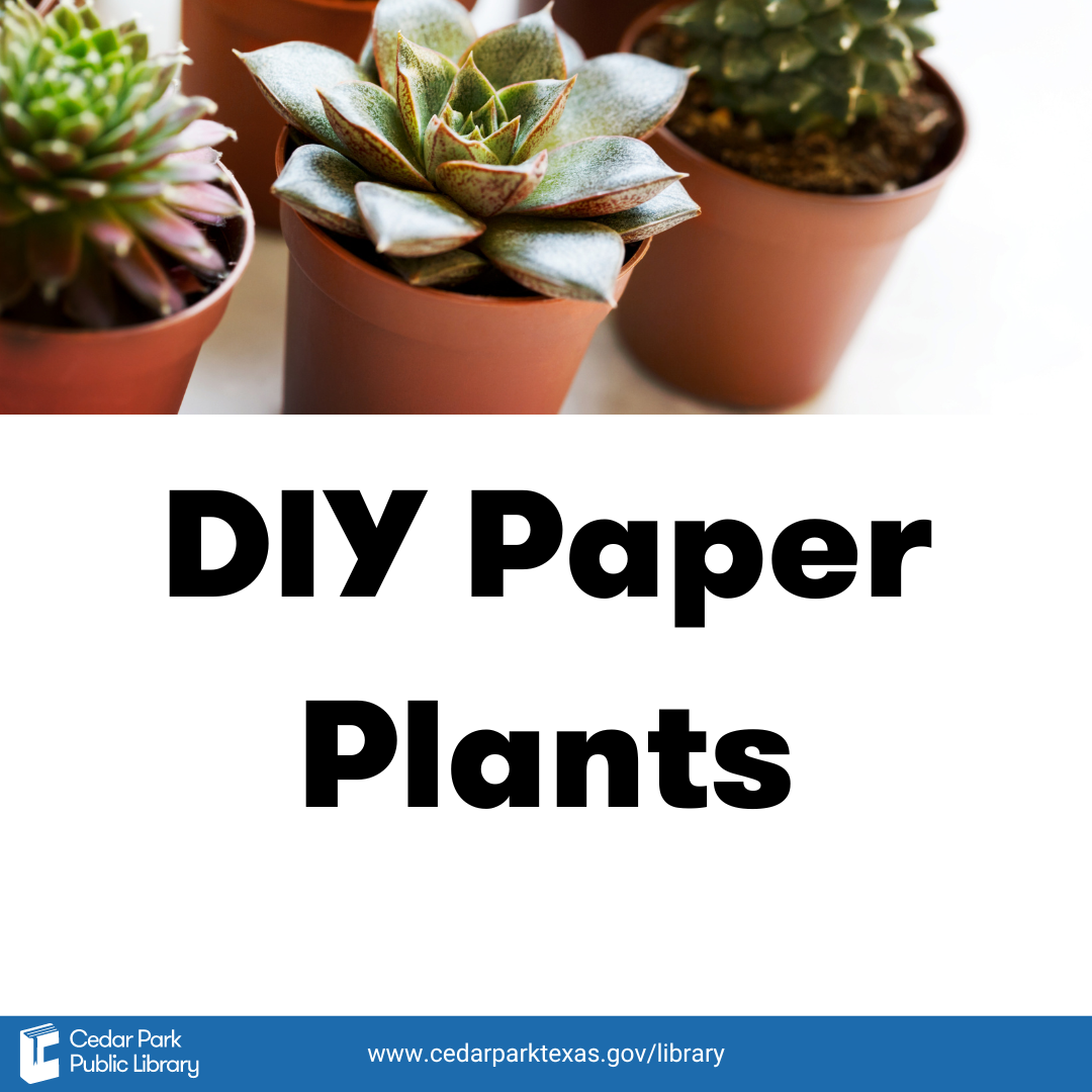 DIY Paper Plants Picture