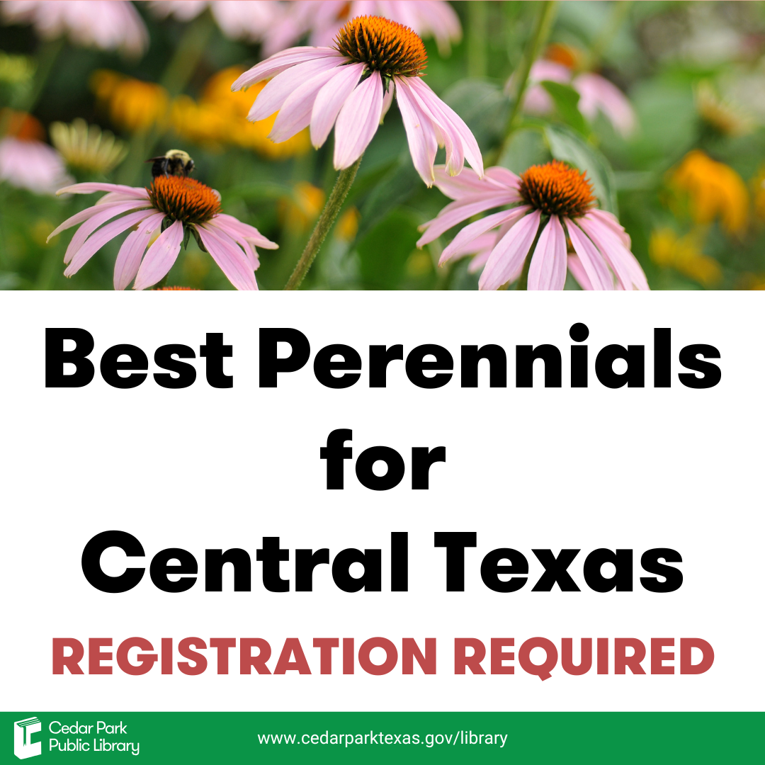 Best Perennials for Central Texas