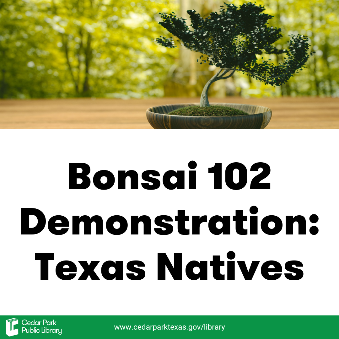 Bonsai 102 Demonstration